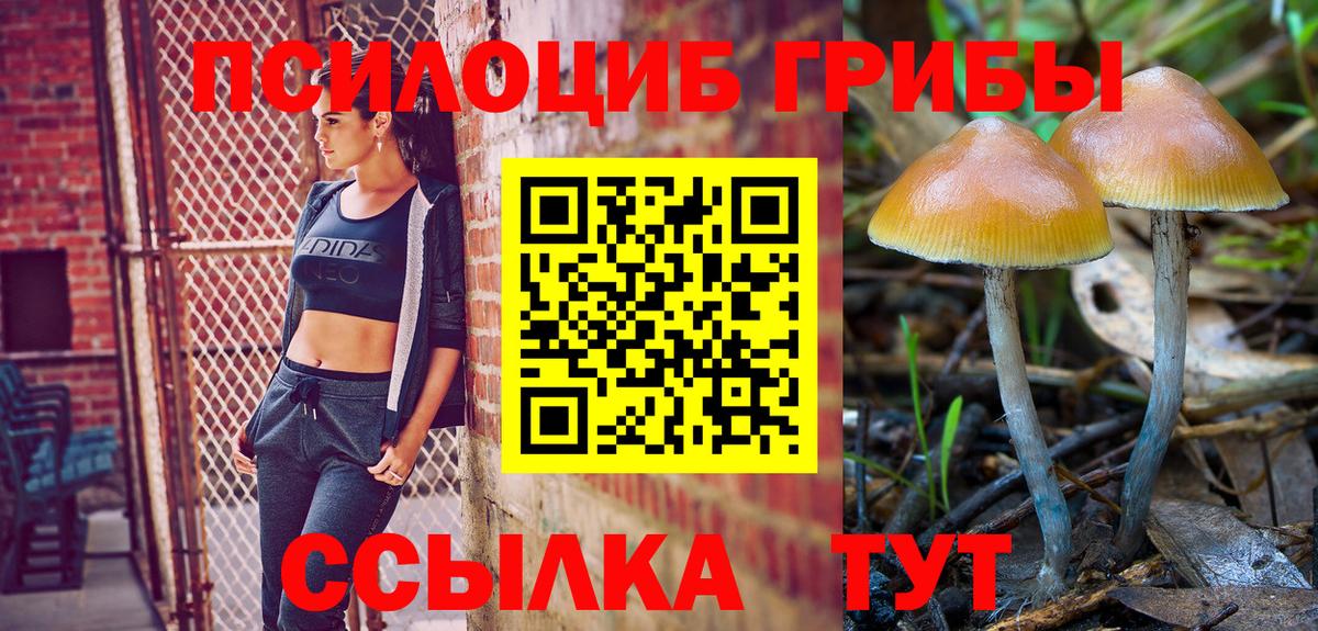 Псилоцибиновые грибы Psilocybe Арзамас
