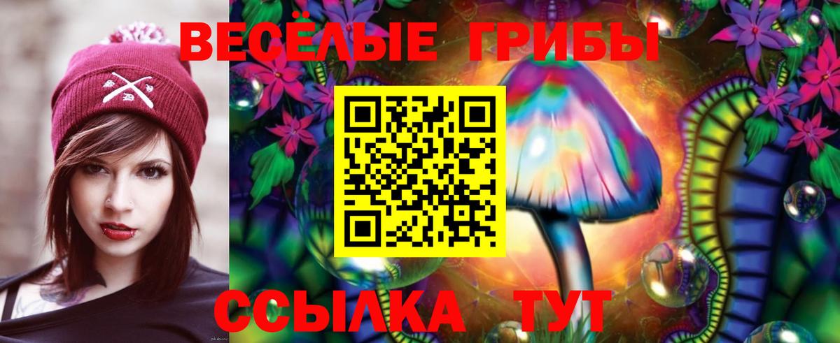 Галлюциногенные грибы MAGIC MUSHROOMS  Вход с VPN  Галлюциногенные грибы Psilocybine cubensis  Арзамас 